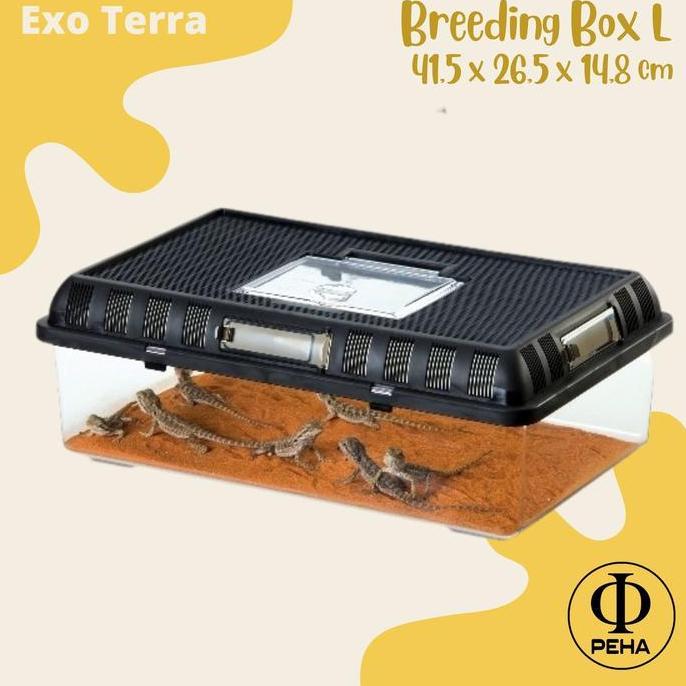 (:(:(:(] Exoterra Breeding Box L Kandang Kotak Box Mika Reptil Gecko Ular Kodok