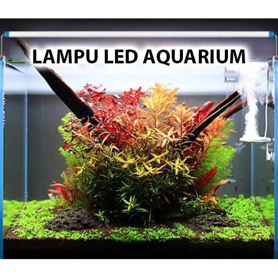 Lampu LED Aquarium Aquascape Kandila Vibrant UVA UVB WRGB