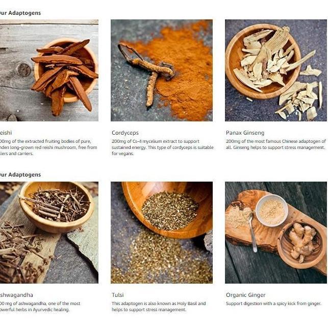Four Sigmatic Adaptogen Blend Ashwagandha Cordyceps Ginger Ginseng ori