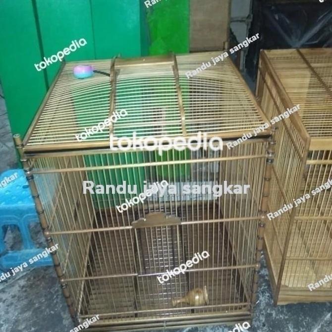 Sangkar Burung Cucak Rowo, Jalak Bali, Jagal Papua, Dll. Uk 58X58X75