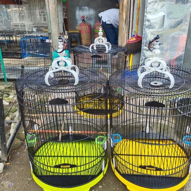 Sangkar Burung Murai Batu Tebok Pvc,Terlaris