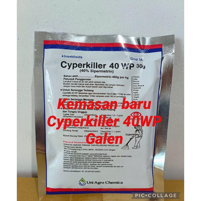 Cyperkiller 40 WP anti kutu  serangga walet ASLI KOREA
