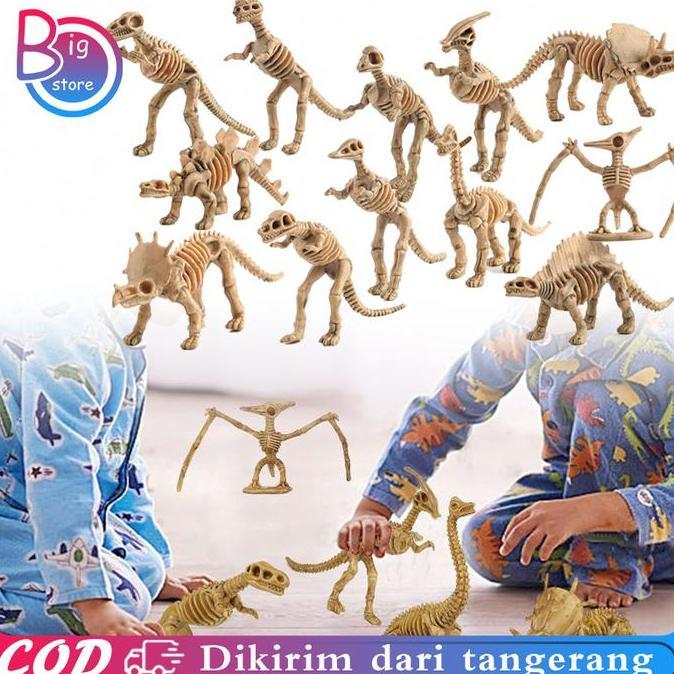 MUVAC 1 Set 12pcs Mainan Fosil Dino Model Kerangka Dinosaurus Fosil Dinosaurus Mainan