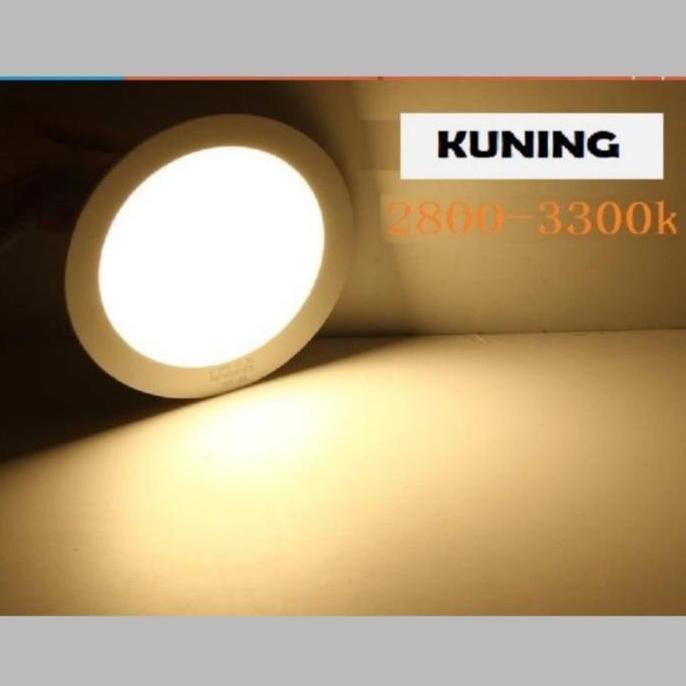 Raizo- Lampu Led Panel Downlight 6W 12W 18W 24W Plafon Inbo 6 12 18 24 Wat