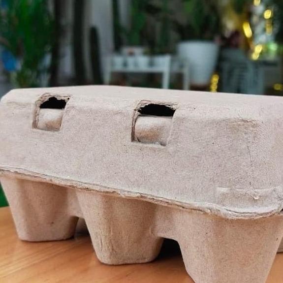 PAPER EGG 6 LUBANG / BOX TELUR KARTON 50 PCS