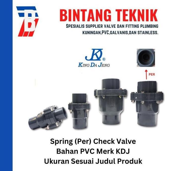 Sale Spring Check Valve 2" Inch Pvc Kdj