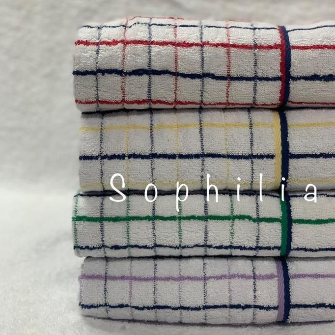 Cleanliness- Serbet Handuk Kastex Wafel 50X50 Kotak