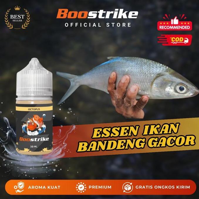 Essen Ikan Bandeng Tambak Rame dan Babon Paling Gacor Umpan Pancing