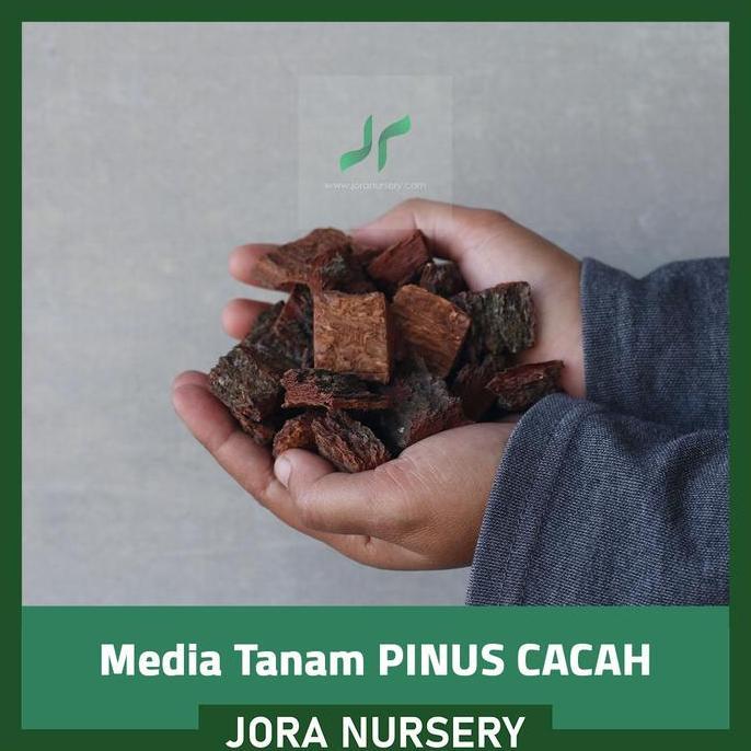 media tanam pine bark / kulit Pinus