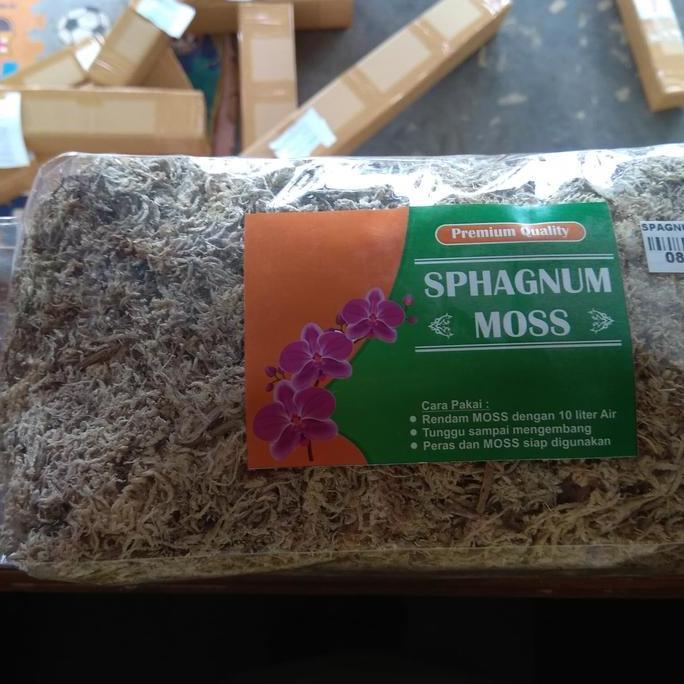 Sphagnum Moss Media Tanam Anggrek