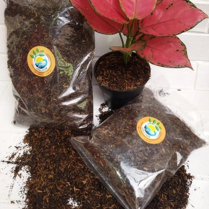 Metan 3Kg / 8 liter Media tanam aglonema fermentasi KEMASAN BESAR 3kg