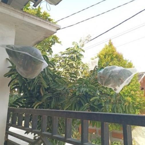Fruit cover net jaring transparan pembungkus buah Kelengkeng Anggur dl