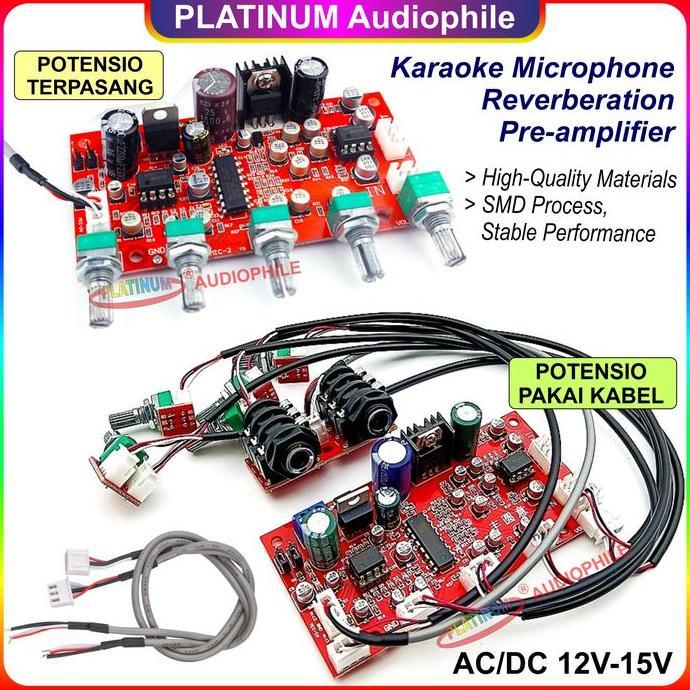 ESOKUIKI PT2399KaraokeMIC MicrophoneReverberation Modul Digital Echo Delay MIC-135 136