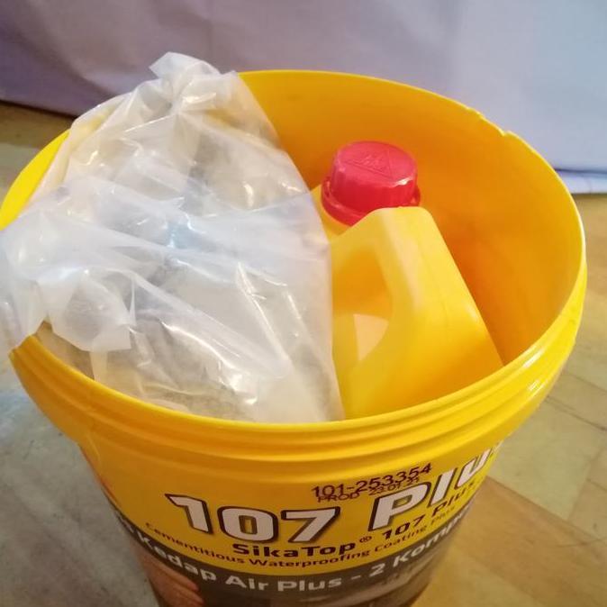 Antimateri- Sika Top 107 Plus