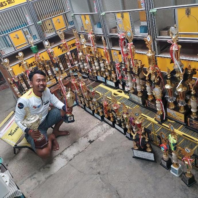 Fugl- Jamu Burung Merpati Kolong Pil Alus Merah Khusus Bahan Dan Player Ninggal Isi 120 Stiker Merah