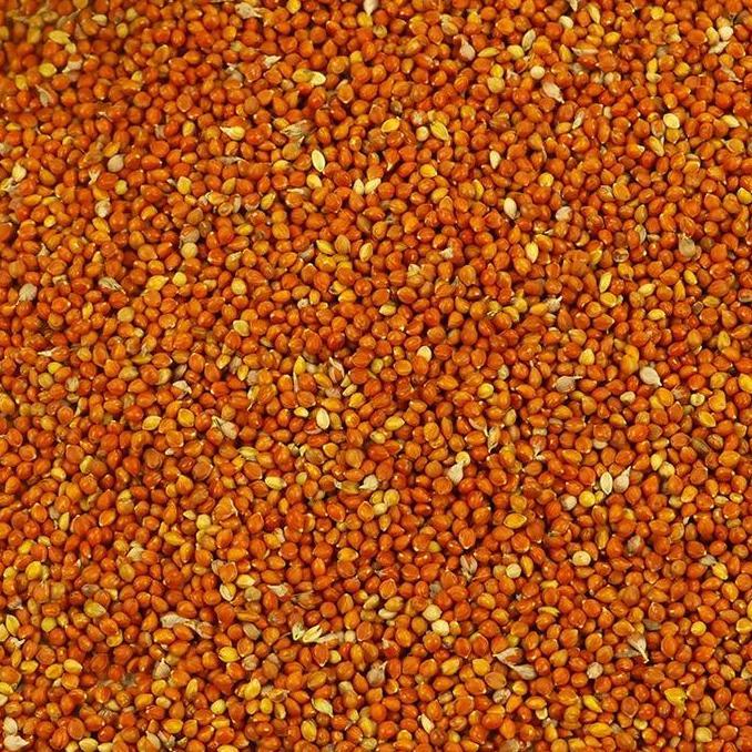 Fugl- Biji Jawawut / Otek / Jewawut 1 Kg