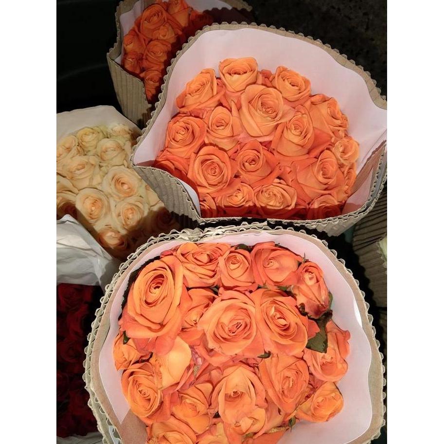 Fiore- Bunga Mawar Semi Holland / Bunga Mawar Bandung