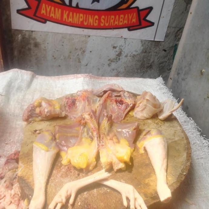 AYAM KAMPUNG EXTRA LARGE (muda)