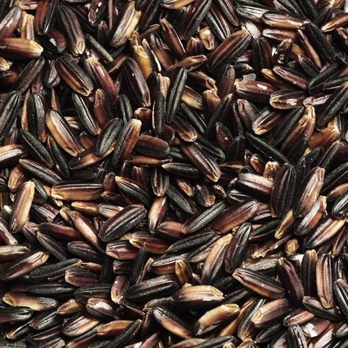 [1 kg] BERAS HITAM ORGANIK JAWA TENGAH - KAZE RICE