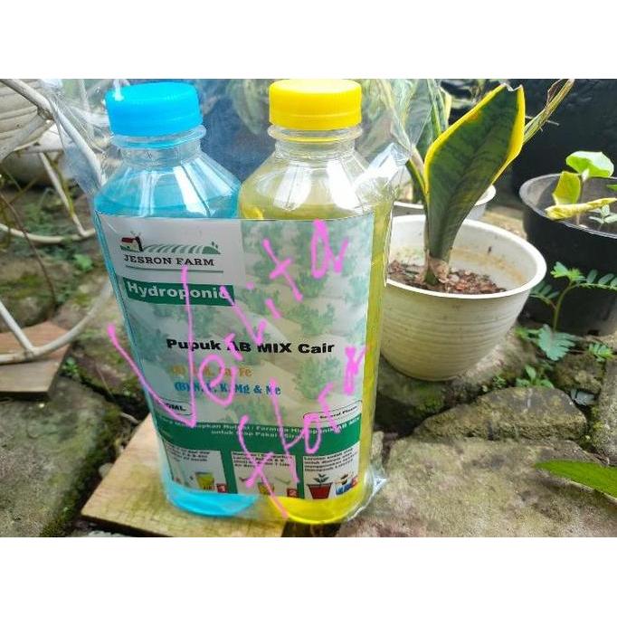 Nutrisi Hidroponik AB Mix Cair