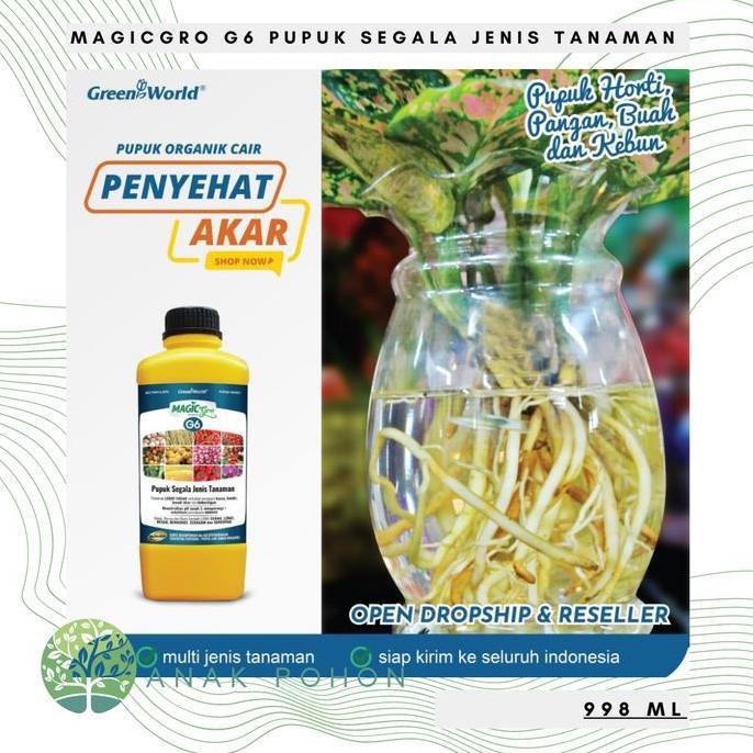 Ready Pupuk Organik MAGICgro G6 - PUPUK PENYEHAT AKAR TANAMAN - 1 LITER
