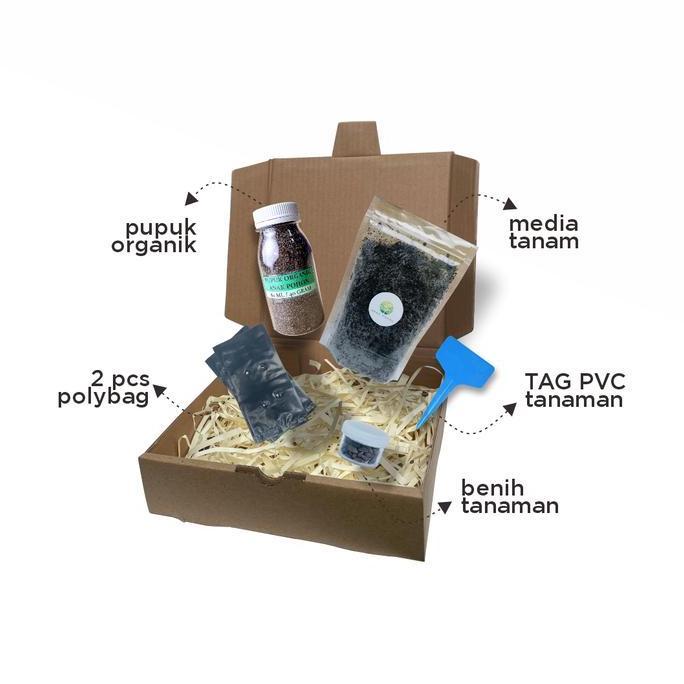 Ready Paket Langsung Tanam - Gardening Kit - Benih Asparagus F1 UC800 Seeds