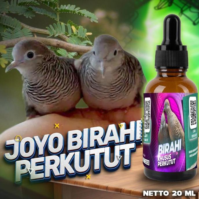 FLASH SALE - VITAMIN BURUNG PENDONGKRAK BIRAHI TESTOTERON & ESTEROGEN | OBAT BURUNG PENDONGKRAK BIRA