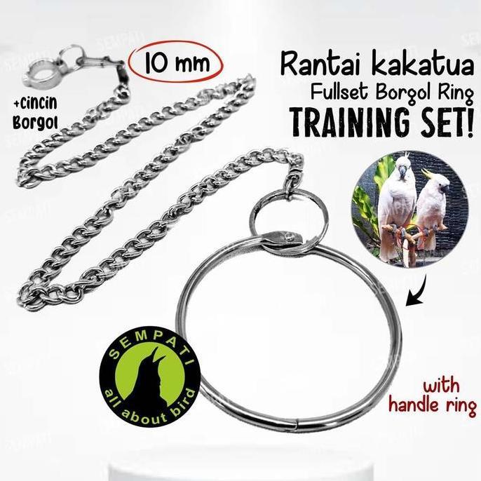 GRATIS ONGKIR - SEMPATI Rantai Kaki Kakatua Medium Fullset Gelang Ring Gelang 10 Mm Free Flaying Ff 