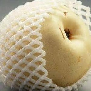 FOAM NET BUAH - JARING BUAH BUSA FOAM