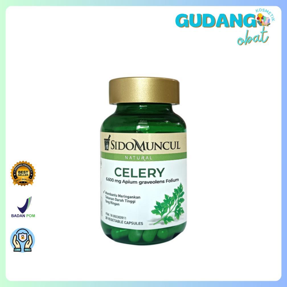 (Terbaru) SidoMuncul Celery 30's - Sido Muncul, Obat Hipertensi, Kolesterol, Penurunan Tekanan Darah