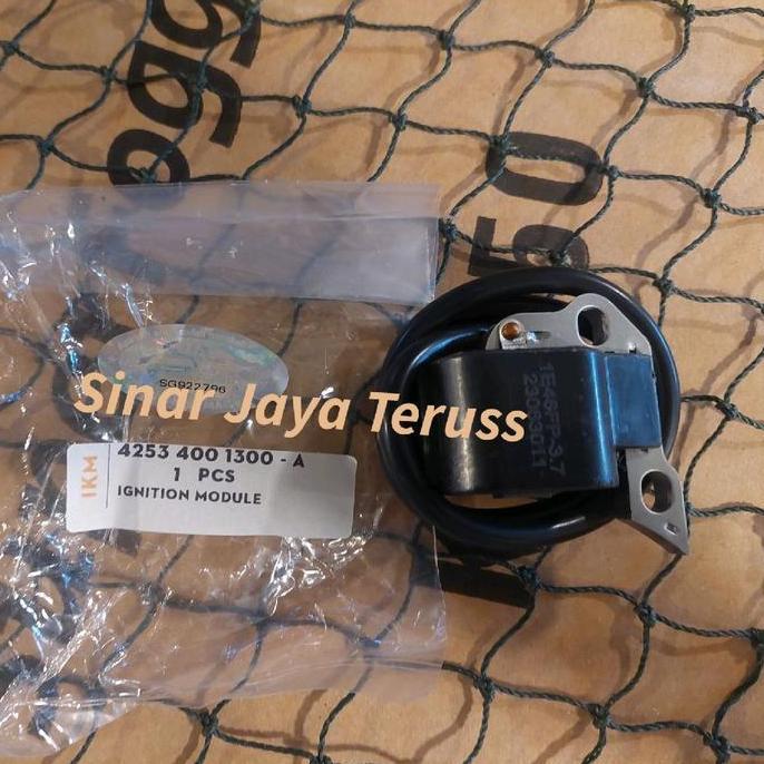 Ready Ignition coil Mistblower Sthill SR 5600 + Spare part Mistblower Sthill SR 5600