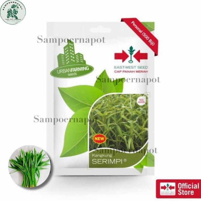 benih bibit kangkung serimpi cap panah merah - KANGKUNG SERIMPI