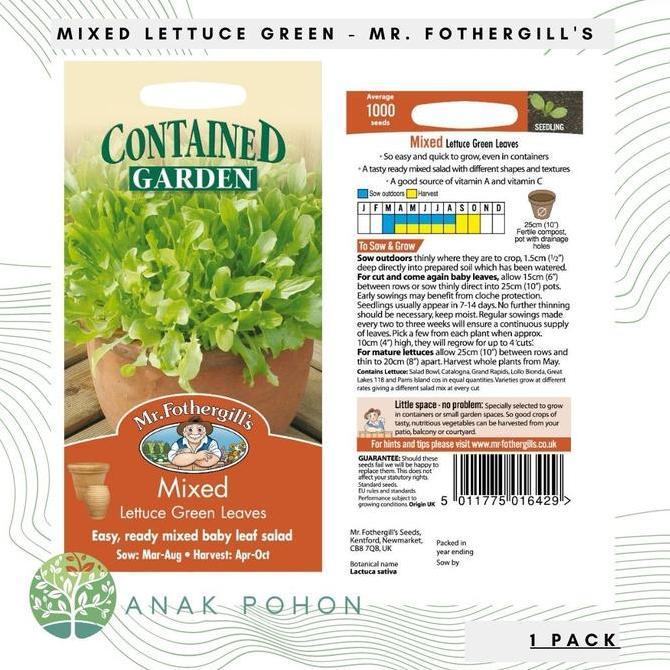 ( 1 PACK ) Benih Mixed Lettuce Green Leaves - Mr. Fothergills