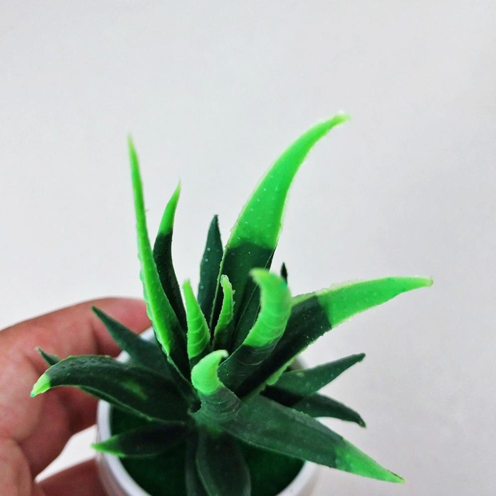 NEW Tanaman Hias Plastik Pot Bunga Daun Lidah Buaya Mini Artificial Import Ornamen Dekorasi Rumah Mu