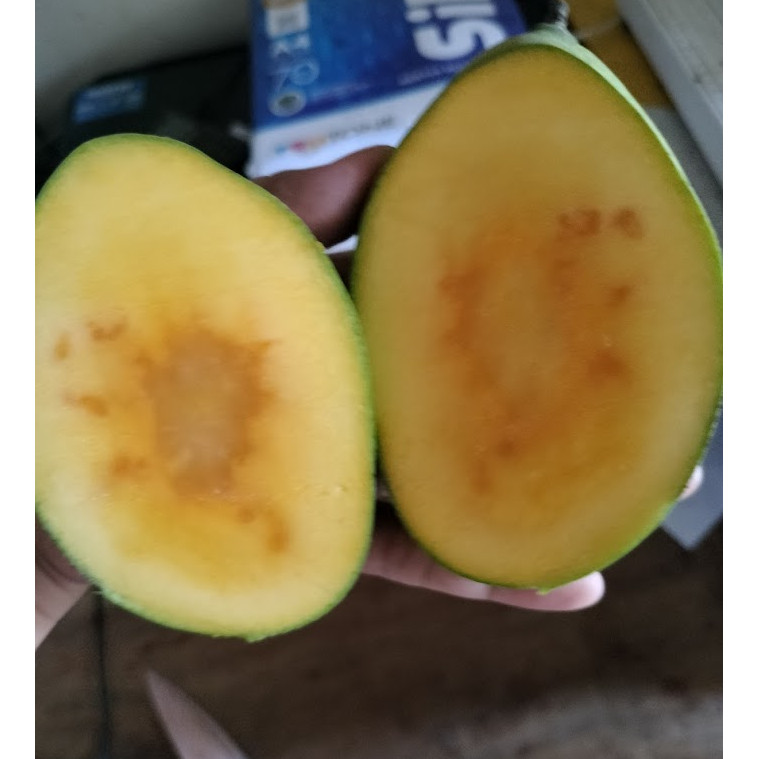 mangga madu simanalagi muda mentah