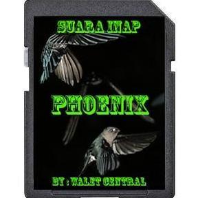 Suara Walet Inap Phoenix