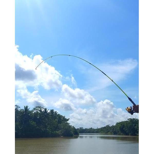 Joran Pancing Joran Ikan Joran Udang Joran Lentur Joran Piber