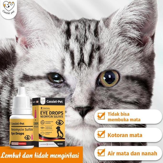 Cassiel Pet Obat Tetes Mata Dan Cairan Pencuci Mata Untuk Kucing Dan Anjing, Digunakan Untuk Belekan