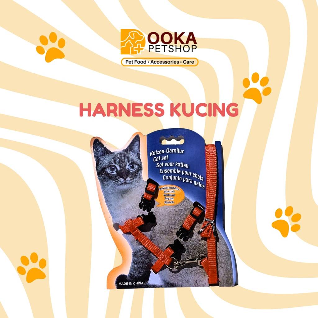 Harness Tali Kucing Jalan-Jalan Main