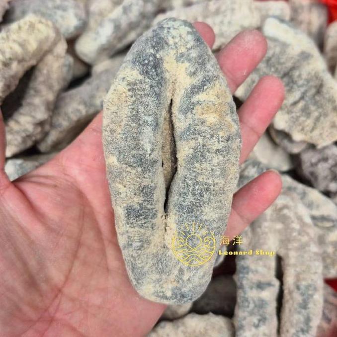 HAISOM SUSU PUTIH / TUBOSOM 500GR SUPER KERING ( 1 KILO JADI 4-5 KG) BERKUALITAS BESAR TEBAL DAN KEN