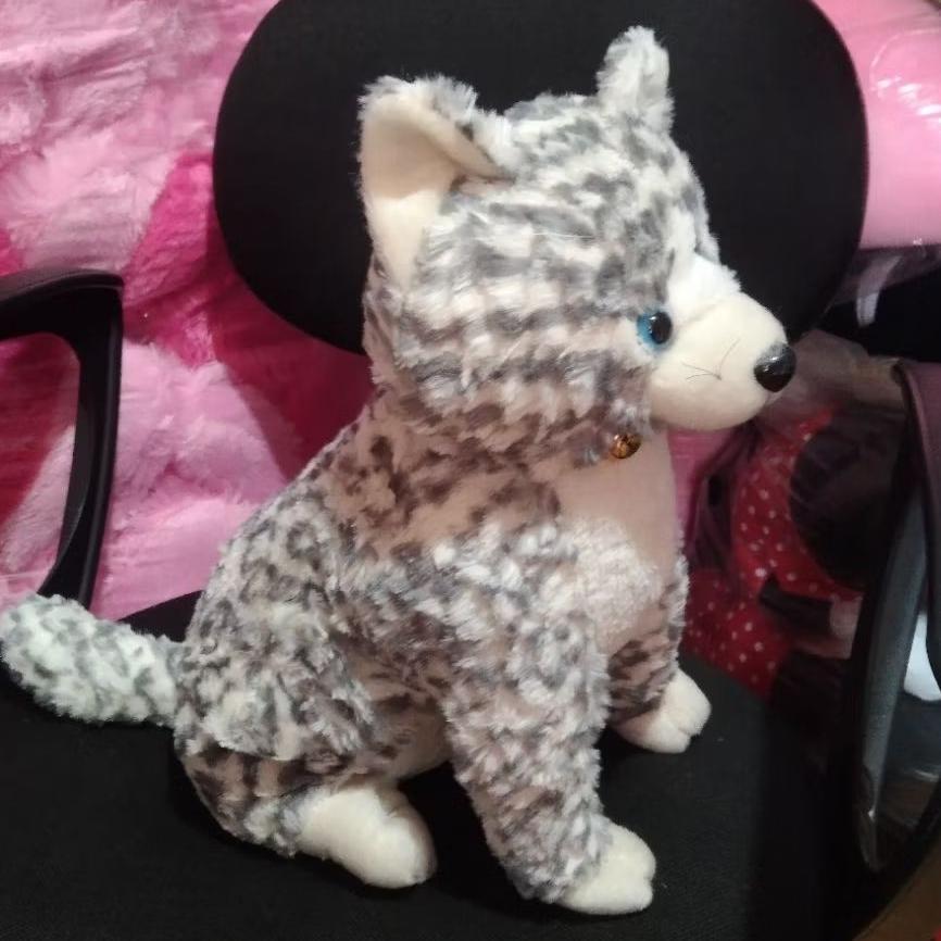 Disc Boneka Kucing Belang Persia Anggora Size L Abu Duduk Bahan Premium Halus Dan Lembut Set Hadiah 