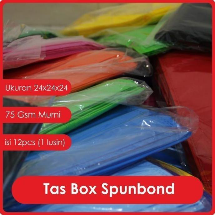 Khusus TAS Hajatan SPUNBOND 24x24x24 / Tas Nasi Kotak (putih)