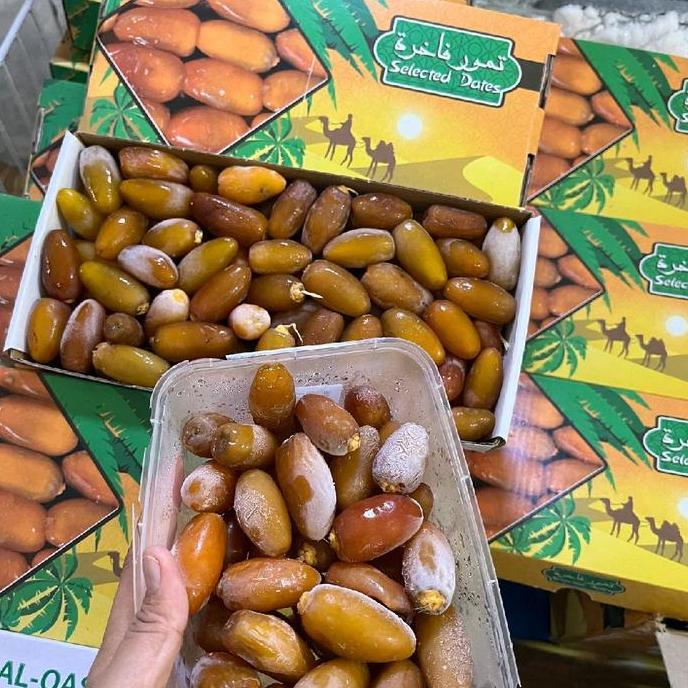 Kurma Muda Ruthob Libya Fresh Lembut Kaya Nutrisi Tahan 6 Bulan di Freezer Manfaat untuk Kesehatan T