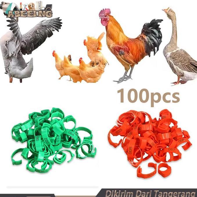 FKINAPE Isi 100 Gelang Ayam Unggas Gelang Kaki Anak Ayam Ring Gelang Kaki Ayam Gelang Ayam Segel Kak