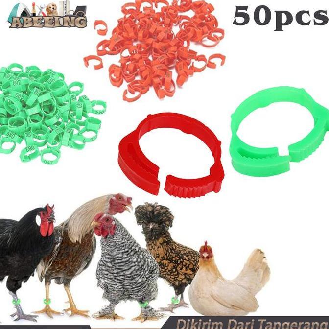 FKINAPE Isi 50 Segel Ayam Kaki Gelang Ayam Plastik Ring Kaki Ayam Bangkok Ring Ayam Bangkok Gelang K