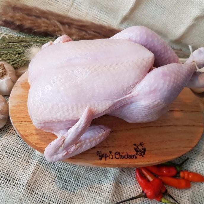 Enyama- Ayam Karkas Frozen 500Gr - 600Gr