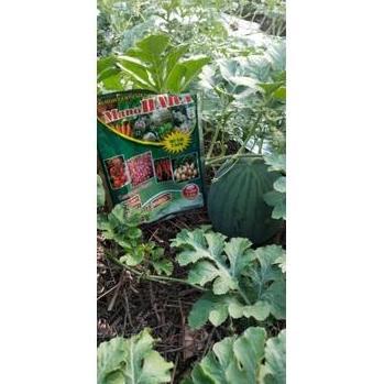 Kalsium Manohara 1kg