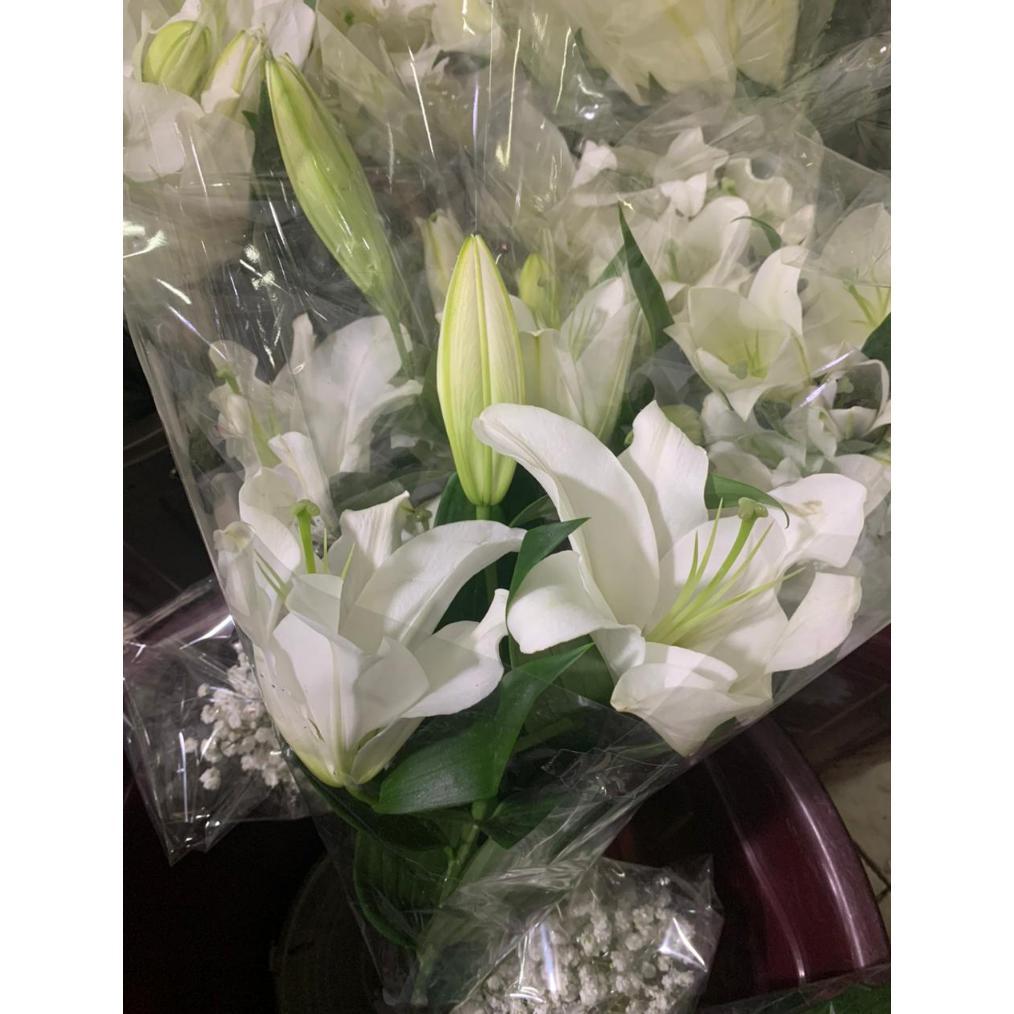 Bunga Lily Fresh Asli Per Tangkai Warna Putih/Pink/Kuning