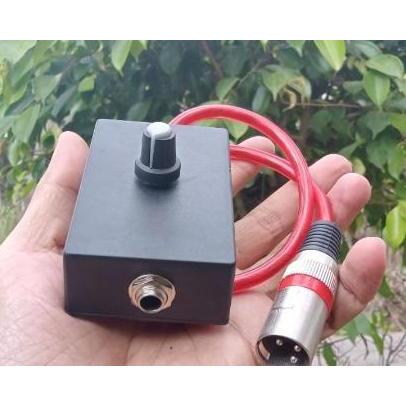 ANTI FEDBACK/STORING MIC