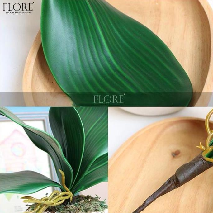 Daun Anggrek Latex [M] /Daun Anggrek Latex Jumbo/Daun Anggrek Artificial (KN-384)
